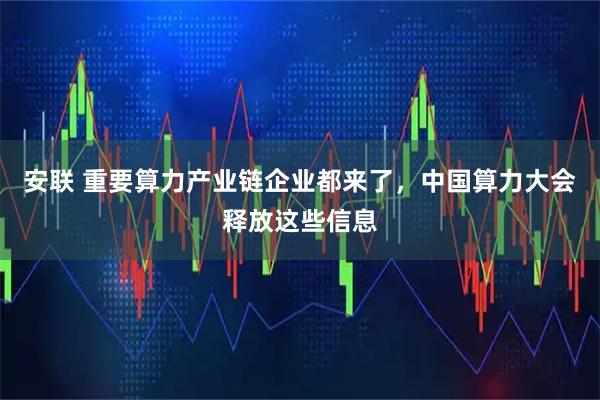 安联 重要算力产业链企业都来了，中国算力大会释放这些信息