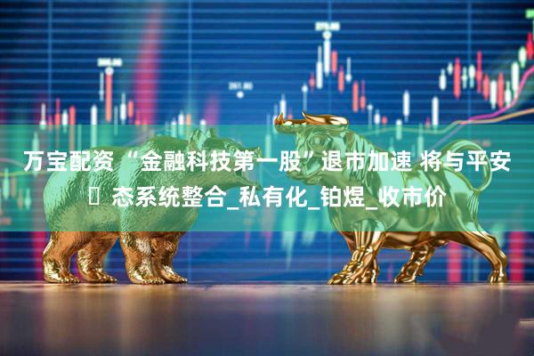 万宝配资 “金融科技第一股”退市加速 将与平安⽣态系统整合_私有化_铂煜_收市价