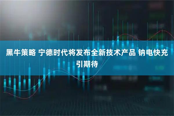 黑牛策略 宁德时代将发布全新技术产品 钠电快充引期待
